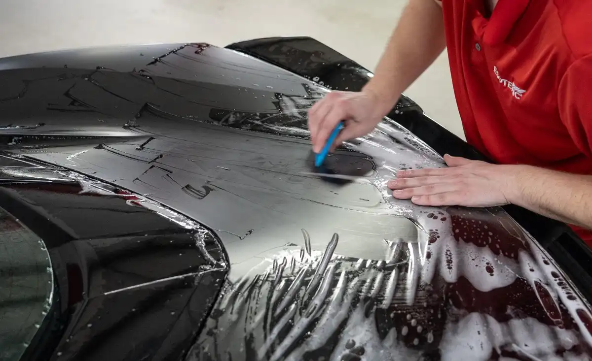 PPF Coating
